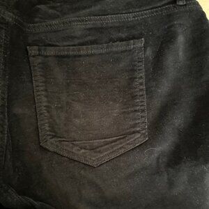 NYDJ Marilyn Straight Blue Velvet Jeans-Plus size 18W